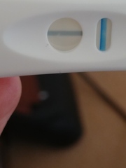 to change DD's school & move away to have a life separate from DM?