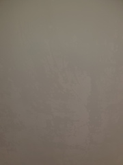 Help! Painting newly plastered walls...