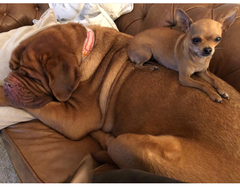 We're not that old but we're losing our hair... Do you still need us, now we're sixty four?! - CANCER SUPPORT THREAD 64