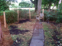 Rabbit housing help please