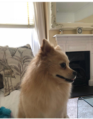 We're not that old but we're losing our hair... Do you still need us, now we're sixty four?! - CANCER SUPPORT THREAD 64