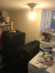 Small cellar- what to do with it?
