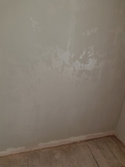 Help! Painting newly plastered walls...