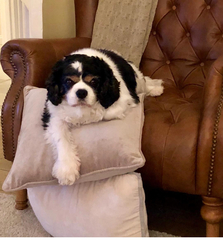 We're not that old but we're losing our hair... Do you still need us, now we're sixty four?! - CANCER SUPPORT THREAD 64