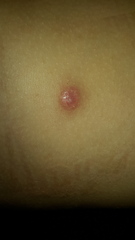 What could this be?