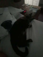Does anyone else put up with this?