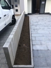New build house, can anyone help me decide what plants to put in a long narrow bed?