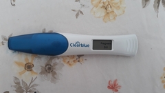 May 2019 (or late April 2019) due date