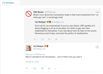 The TerFblocker list