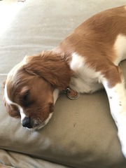 Cancer support thread 63 for a handhold or advice and anything in between