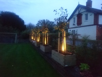 Front garden layout/planting ideas
