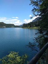 Best family walking/mountains/wildlife location?