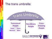 Transsexual is now "offensive" within the trans community...?