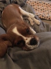 Cancer support thread 63 for a handhold or advice and anything in between