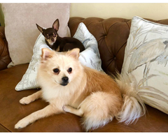 We're not that old but we're losing our hair... Do you still need us, now we're sixty four?! - CANCER SUPPORT THREAD 64