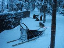 Lapland etc