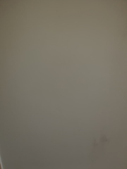 Help! Painting newly plastered walls...