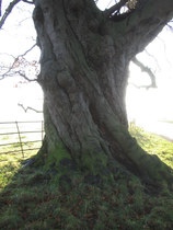 Any Witches Here ? Part 3