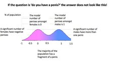 Sex as a spectrum