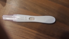 May 2019 (or late April 2019) due date