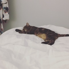 Does anyone else put up with this?