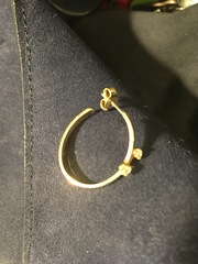 Hoop earrings?