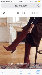 Les Parisiennes de Mamansnet: Orangutans in Paris make for poor gondoliers