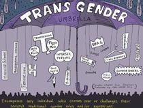 Transsexual is now "offensive" within the trans community...?