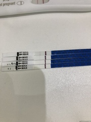 May 2019 (or late April 2019) due date