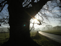 Any Witches Here ? Part 3