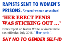 #StickerWoman