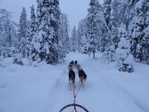 Lapland etc