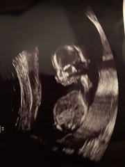 The March-ers 2019 #5