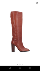 Les Parisiennes de Mamansnet: Orangutans in Paris make for poor gondoliers