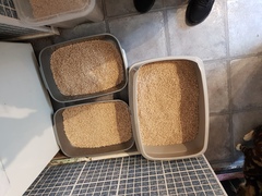 I have had enough and need litter suggestions