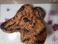 Who bakes your birthday cake?