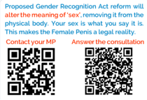 #StickerWoman