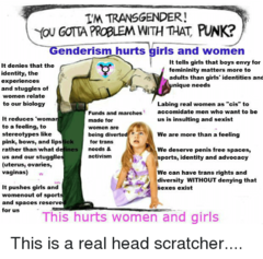 Share your favourite Gender Critical memes here!