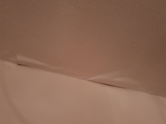 Ceiling paint flaking off