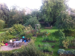 Westminstenders: Operation Yellowhammer 1q