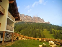 Best family walking/mountains/wildlife location?