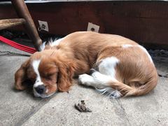 We're not that old but we're losing our hair... Do you still need us, now we're sixty four?! - CANCER SUPPORT THREAD 64