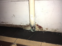 Hot water or heating but not both gah