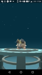 Pokemon Go #19: Mewtoo Me Are Everything