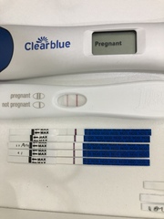 May 2019 (or late April 2019) due date