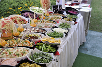 To only pay for vegan food at my wedding?