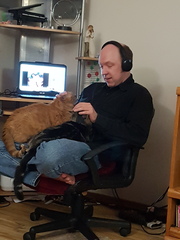 Can I introduce a new cat to two existing ones?  Cat lovers please!