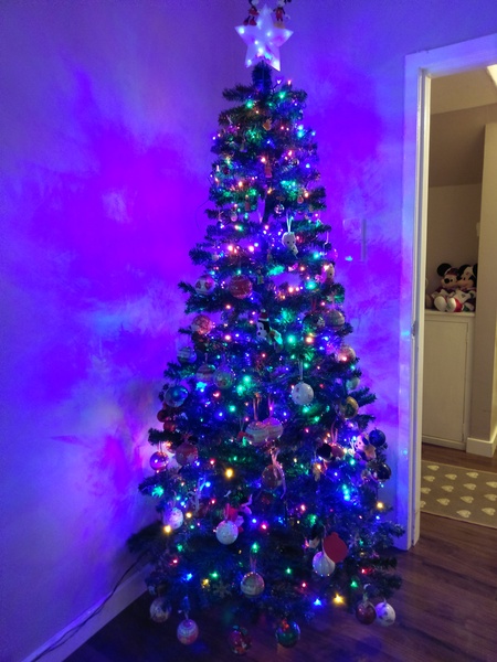 Christmas Trees! Show me yours!