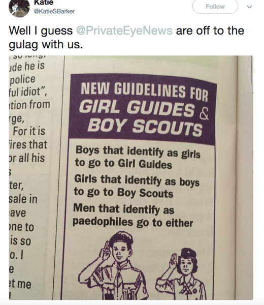 Girlguiding expels leaders who question trans policy
