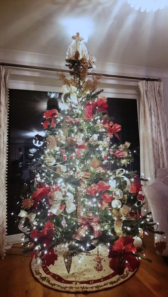 Christmas Trees! Show me yours!